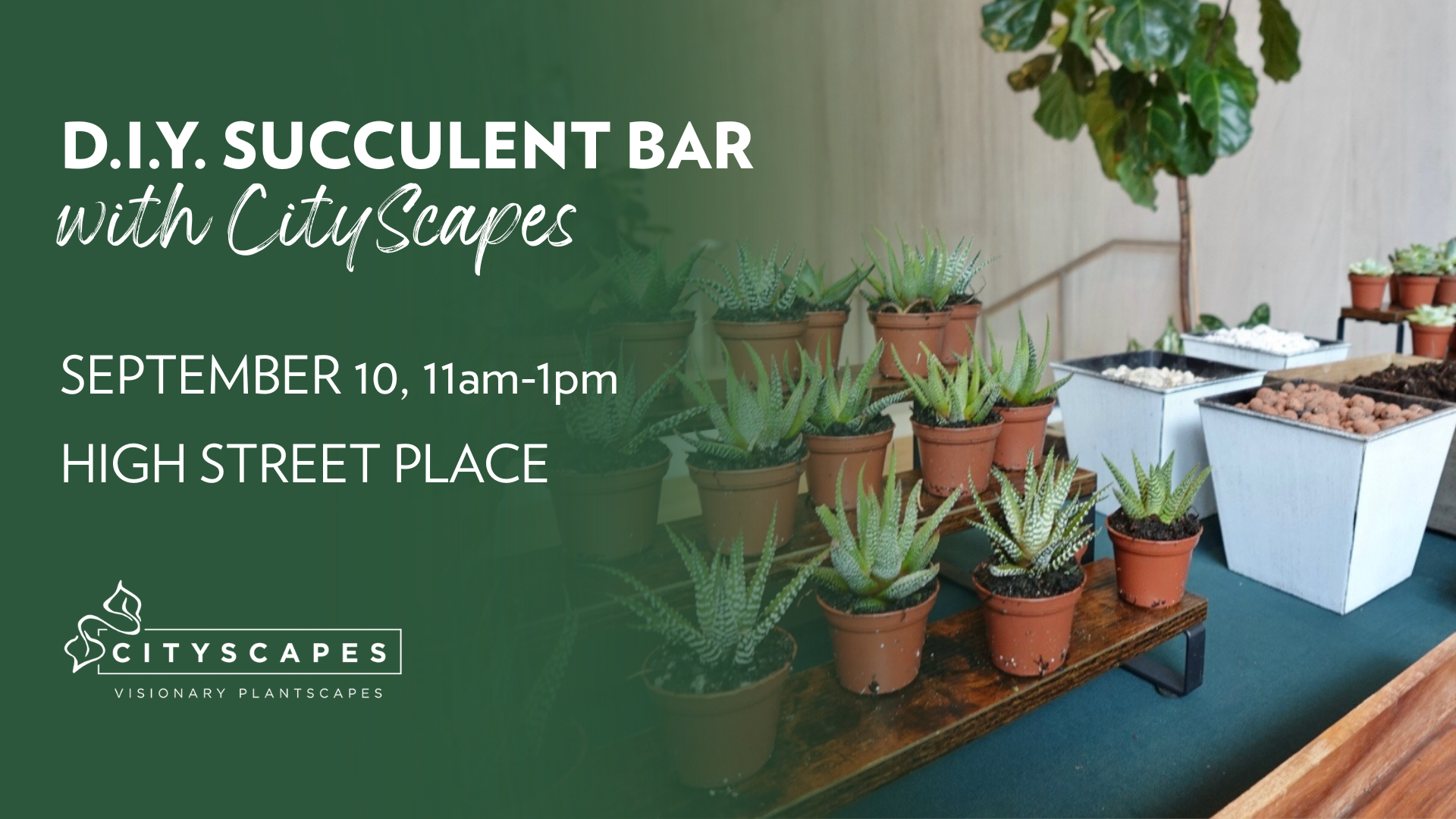 D.I.Y. Succulent Bar