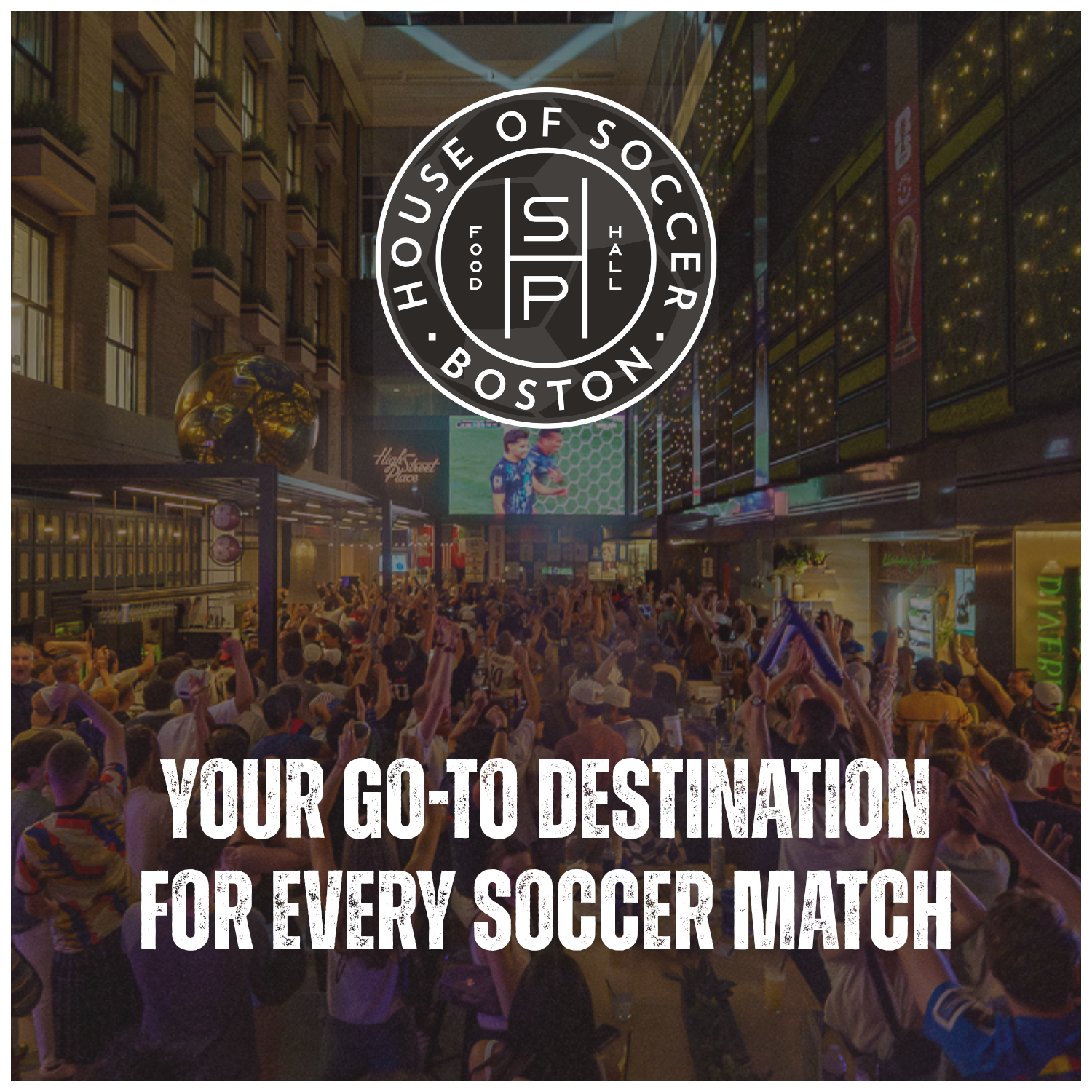 pop up image